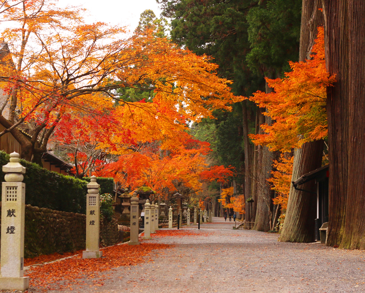 おはようツーリングは紅葉とヤマコミュ　11/26